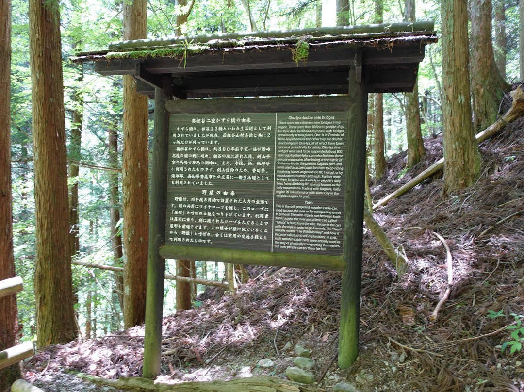 祖谷葛藤桥-三好市必去景点