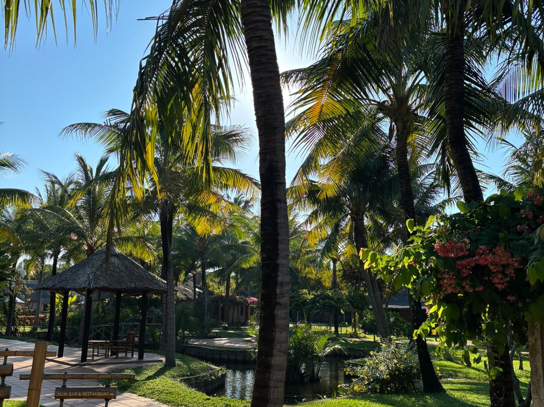 ENSO Retreat Hoi An - Rediscovery & Serenity主图