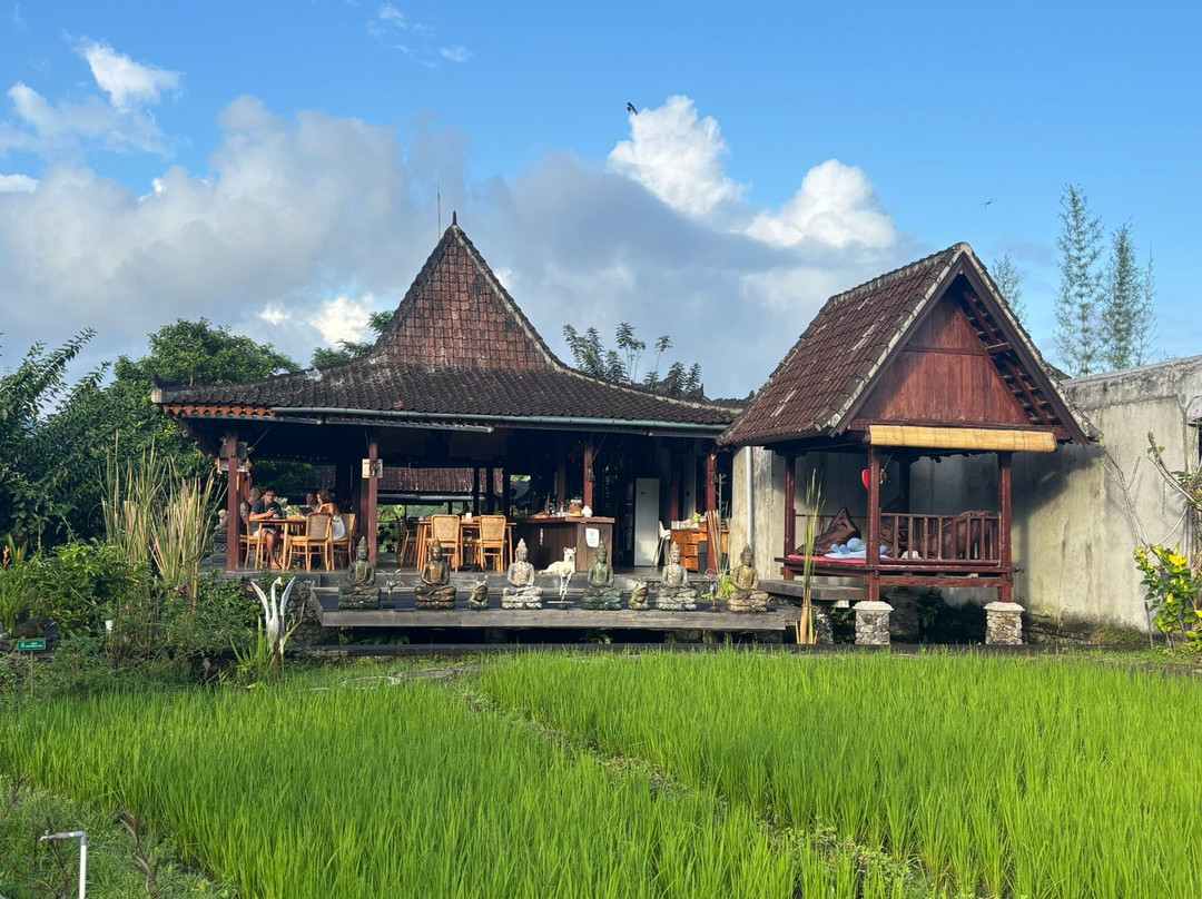 Anandinii Organic Garden & Kitchen-席德门必去景点