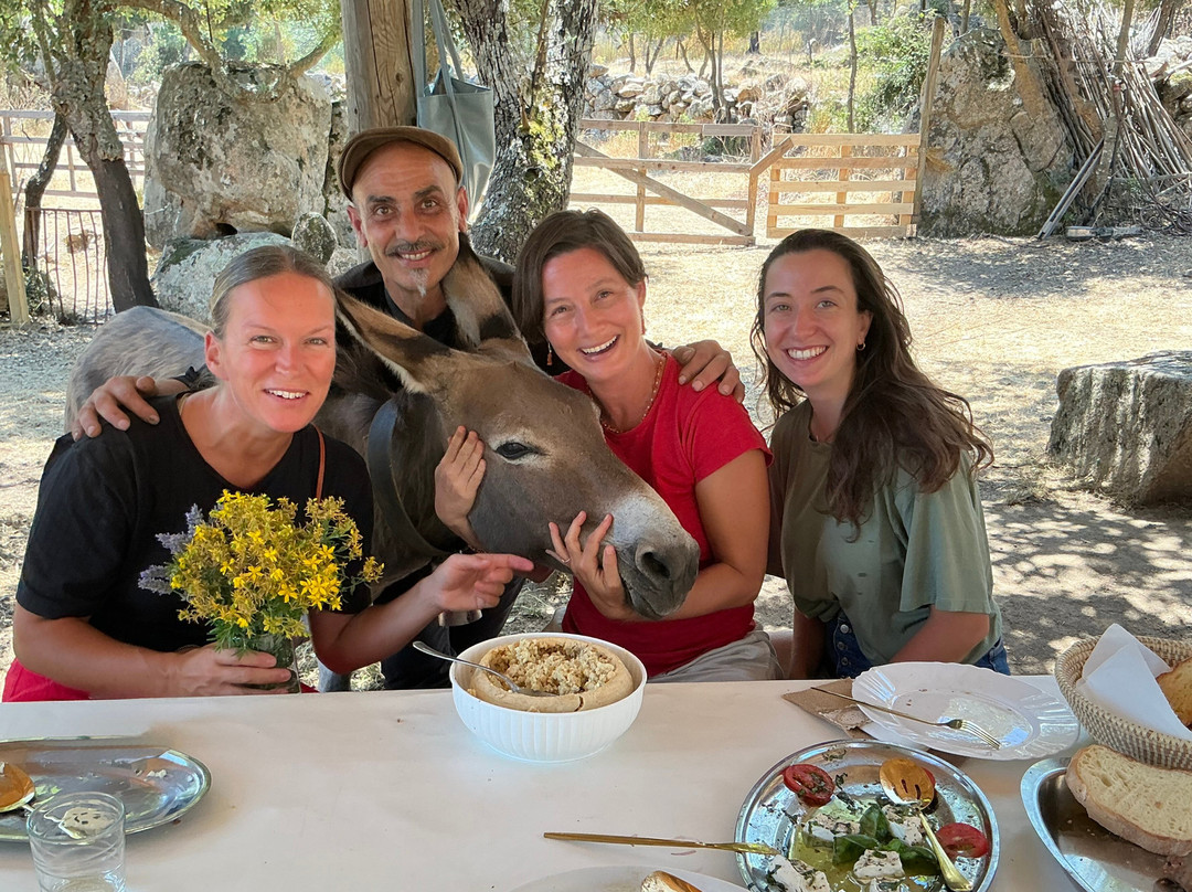 Sardinian Donkeys Farm Is Burriccheddus-Burcei必去景点