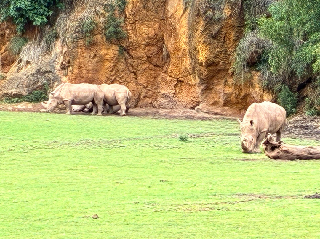 Parque de la Naturaleza de Cabarceno-Obregon必去景点