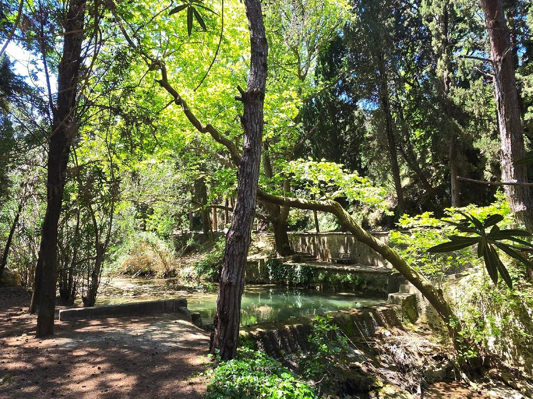 Rodini Park-罗德斯必去景点