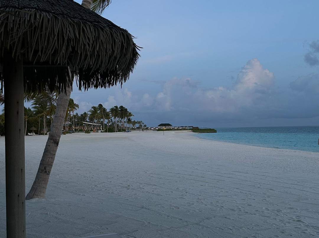 Joy Island Maldives by Cocoon Collection主图