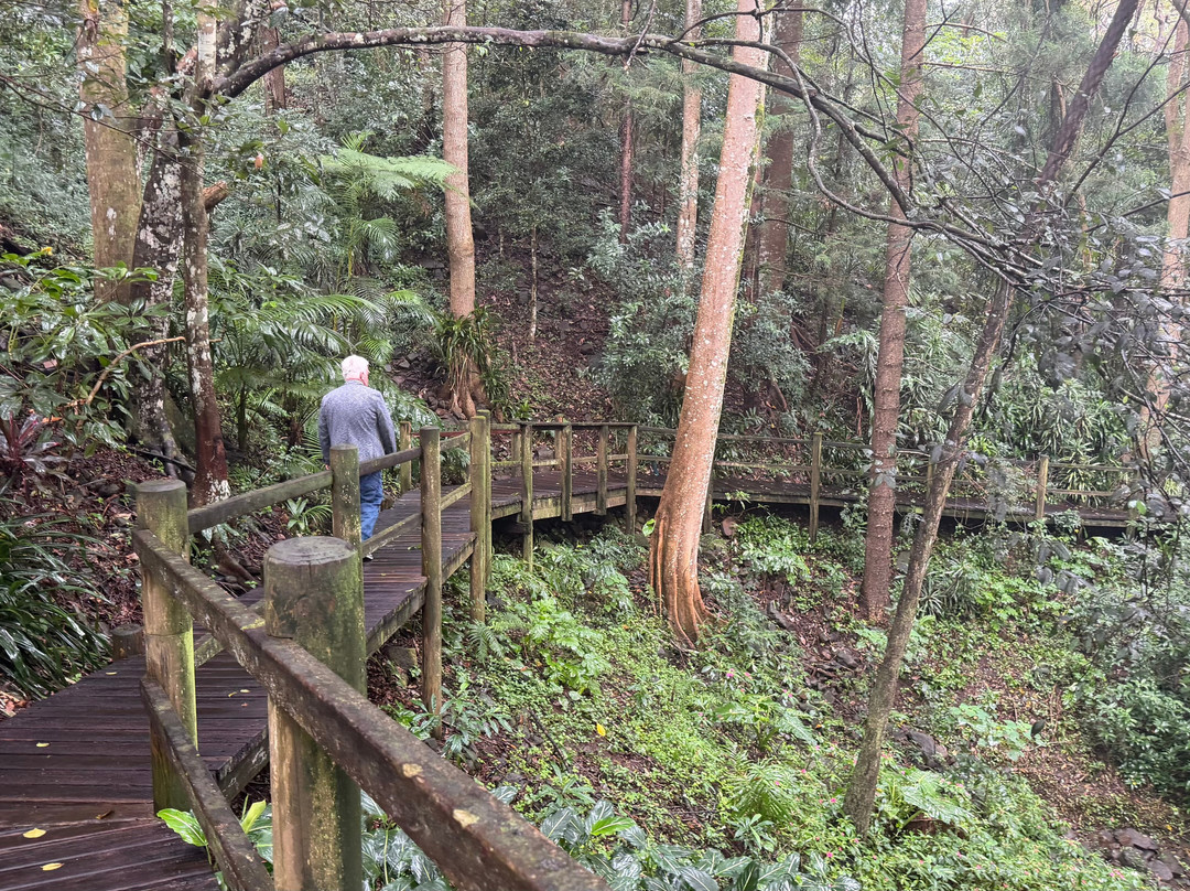 蒙特维尔瀑布山林小屋主图