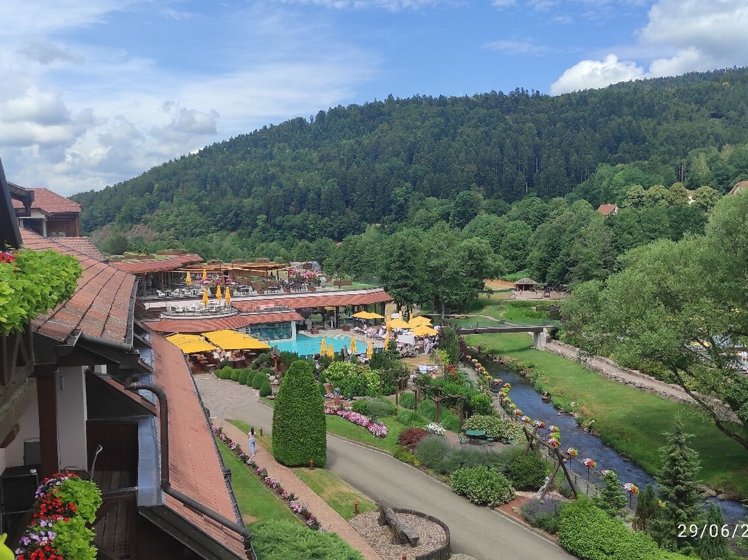 Hôtel Restaurant & SPA Julien主图