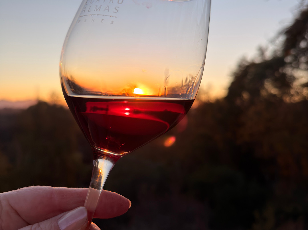 Cuatro Almas Wines-Buin必去景点