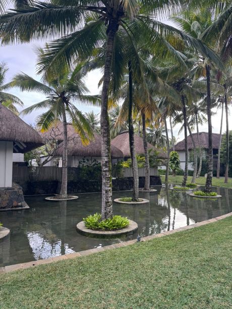 毛里求斯康斯丹贝尔玛尔酒店-旅行者