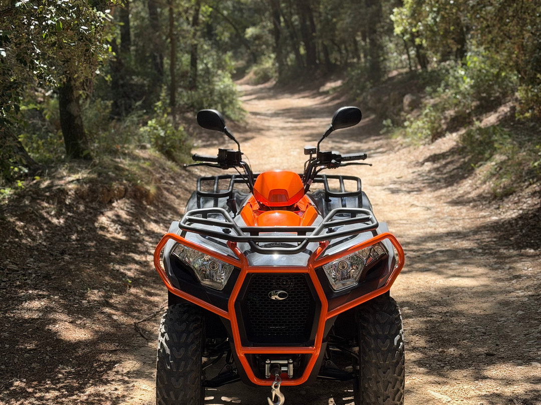 MyQuad