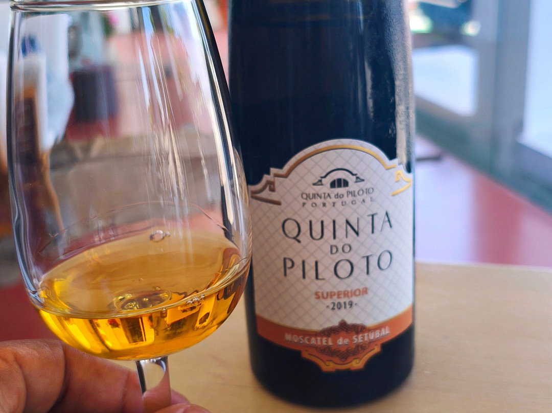 Quinta do Piloto-Palmela必去景点
