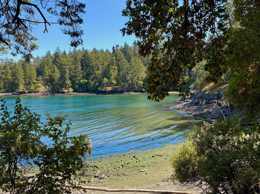 Ruckle Provincial Park-盐泉岛必去景点