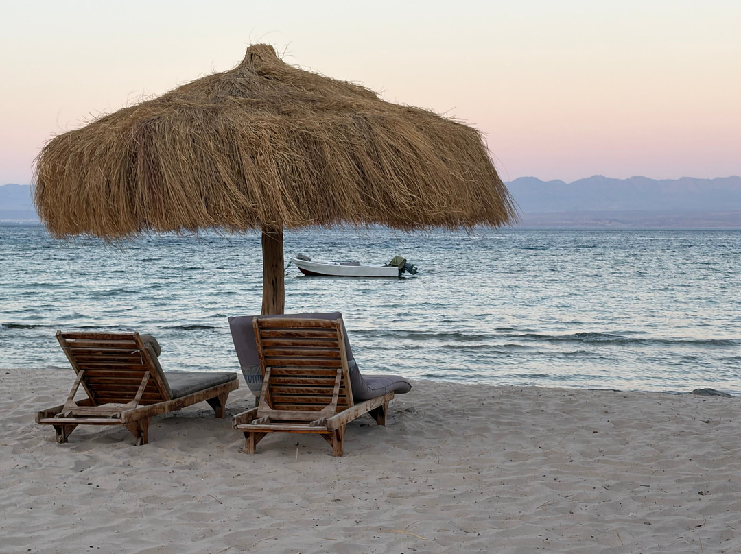 Viva La Vida Beach Camp