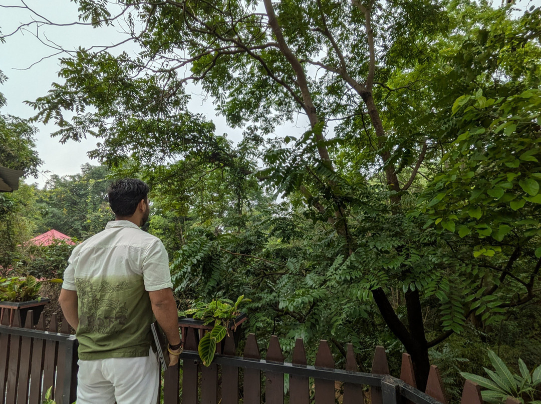 Jungle Ghar