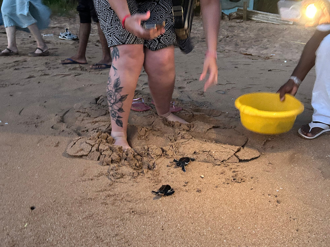 Charli Tours sri lanka-亚洪加拉必去景点