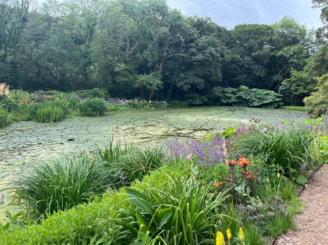 Bonython Estate Gardens-赫尔斯顿必去景点