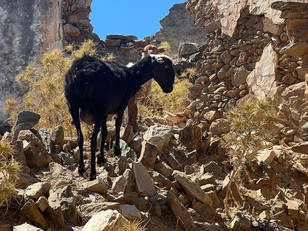 Crete Quad Safari Penisula-阿希亚贝拉希亚必去景点