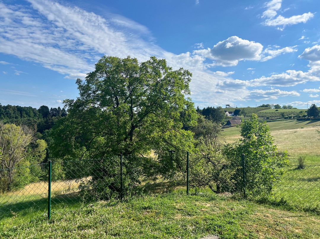 Burgau酒店住宿-Golf & Therme Sonnenpension Hotel Garni - Burgauberg