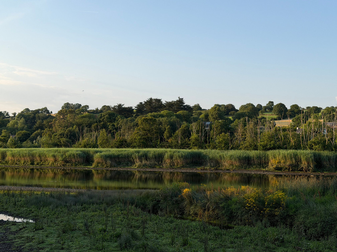 Ballinadee酒店住宿-Riverbank House Bed and Breakfast Innishannon