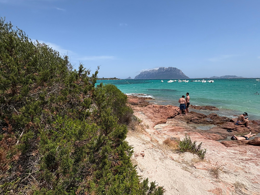 Porto Istana Beach-奥尔比亚必去景点