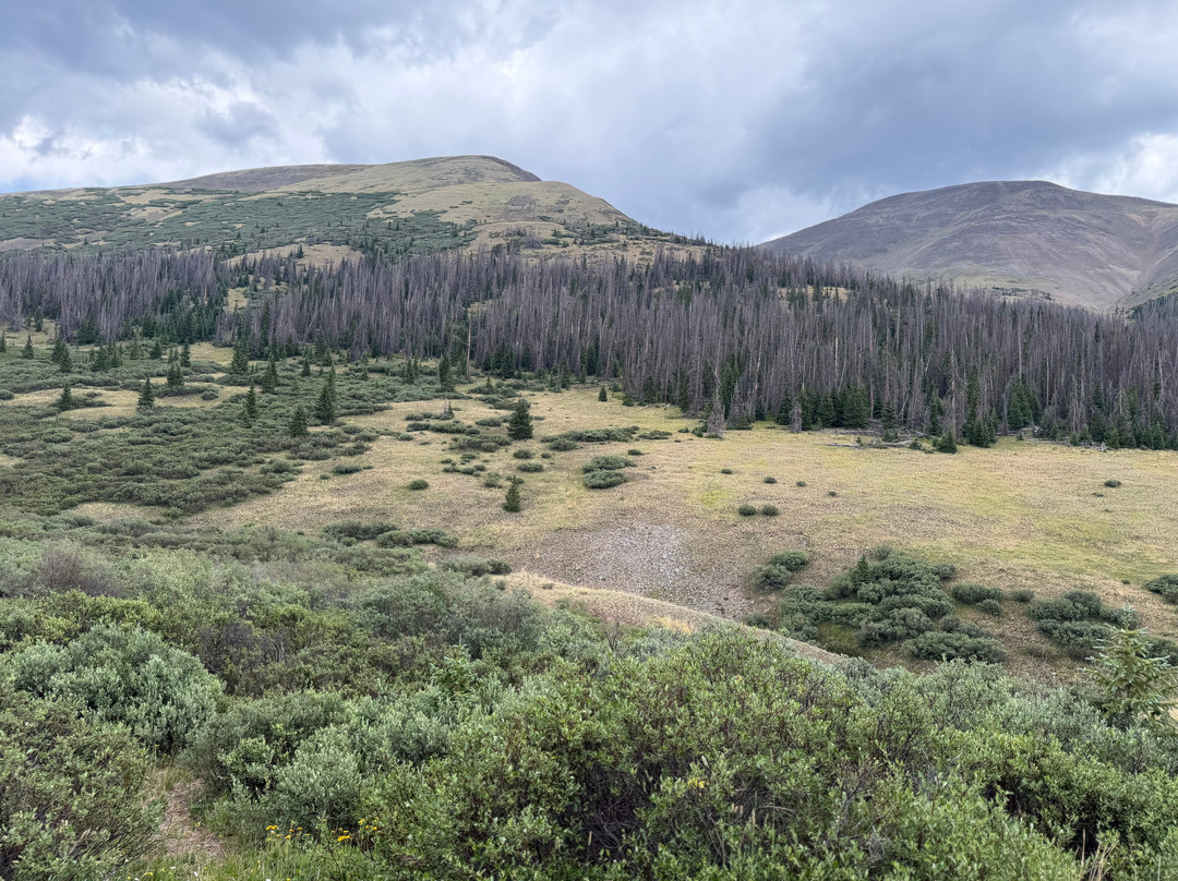 Creede Snowshoe Lodge主图