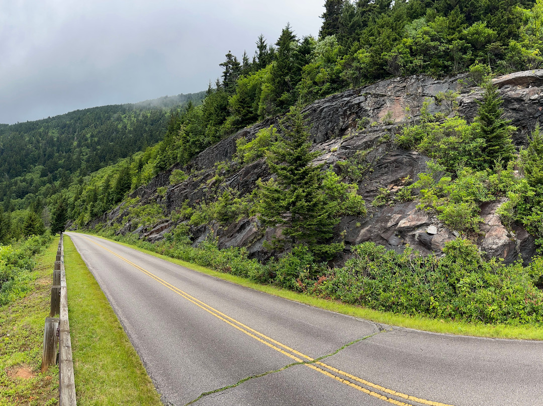 Mount Mitchell State Park-Burnsville必去景点