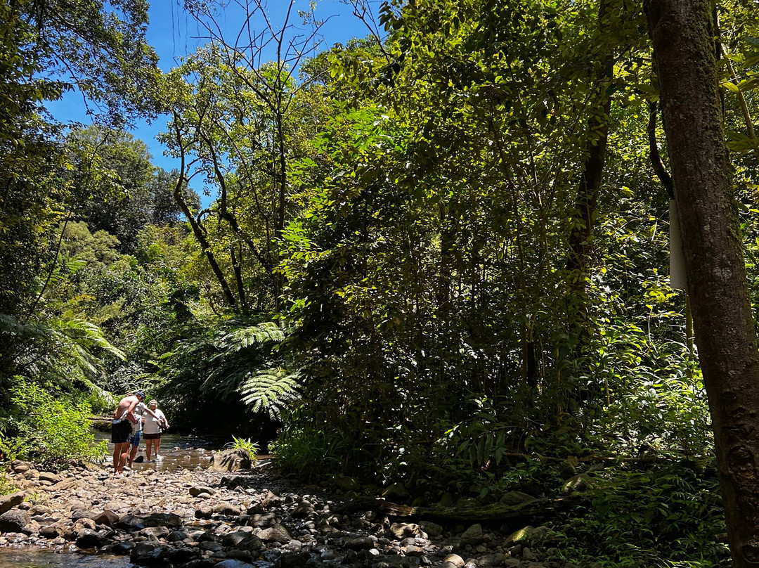 Twin Falls Maui-毛伊岛必去景点