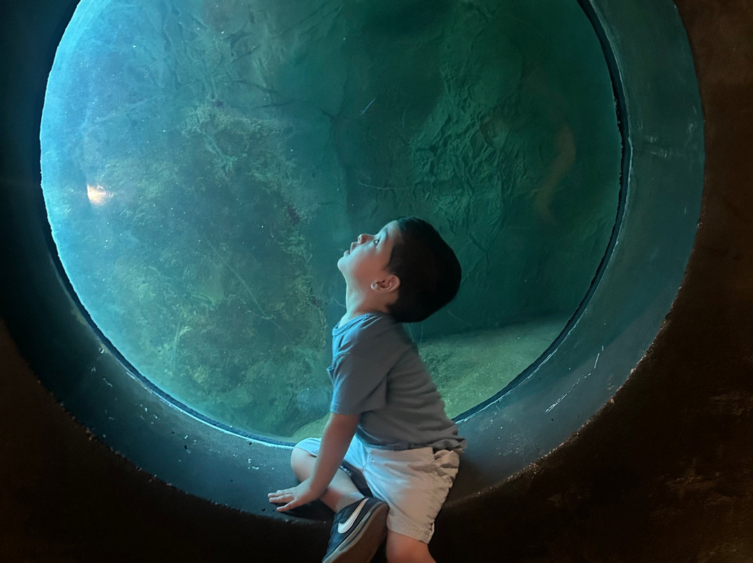 太平洋水族馆-长滩必去景点