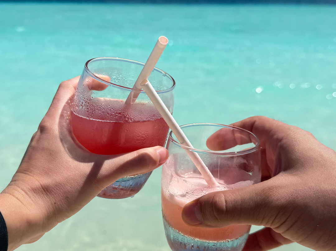 Joy Island Maldives by Cocoon Collection主图