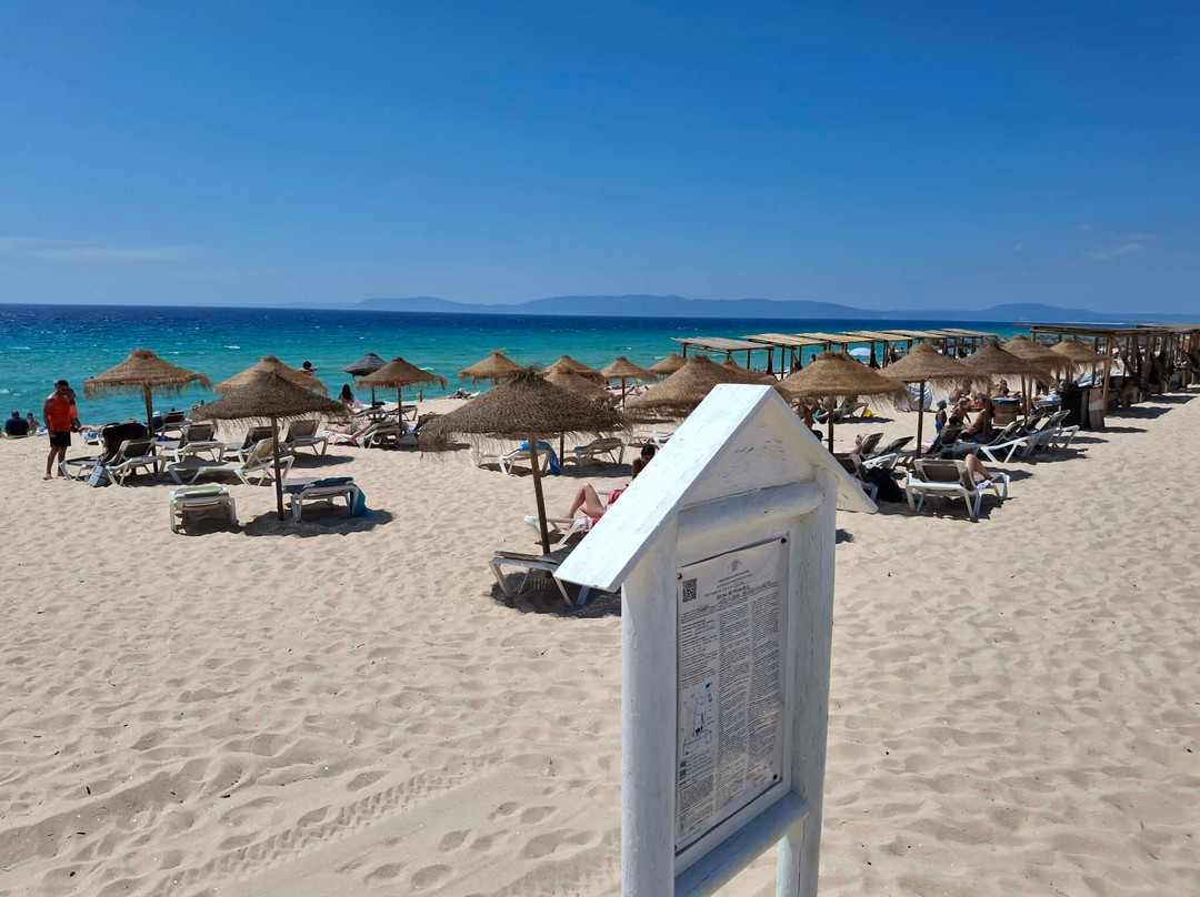Comporta Beach-Grandola必去景点