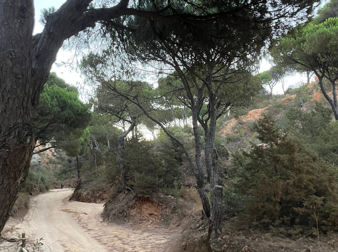 Centro Histórico de Albufeira-阿尔布赞拉必去景点