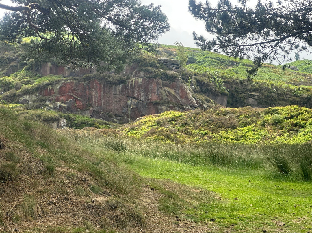 Ilkley Moor-伊尔克利必去景点