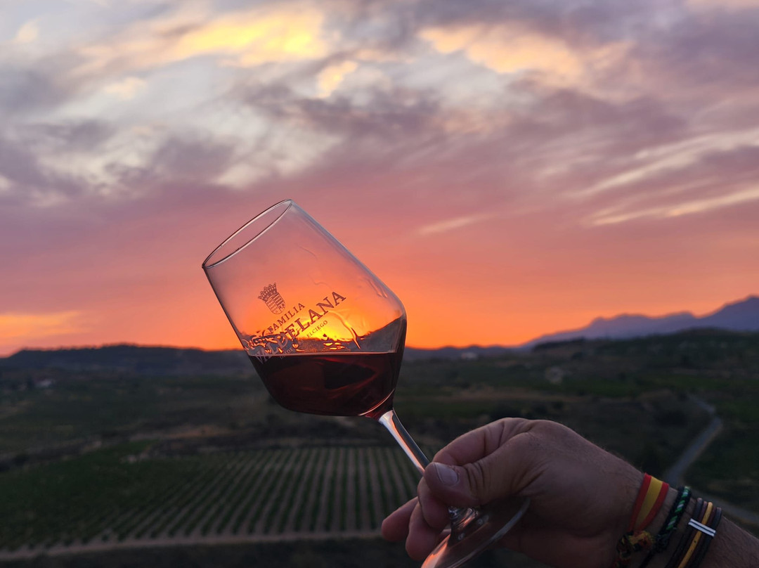 Bodegas Valdelana-Elciego必去景点