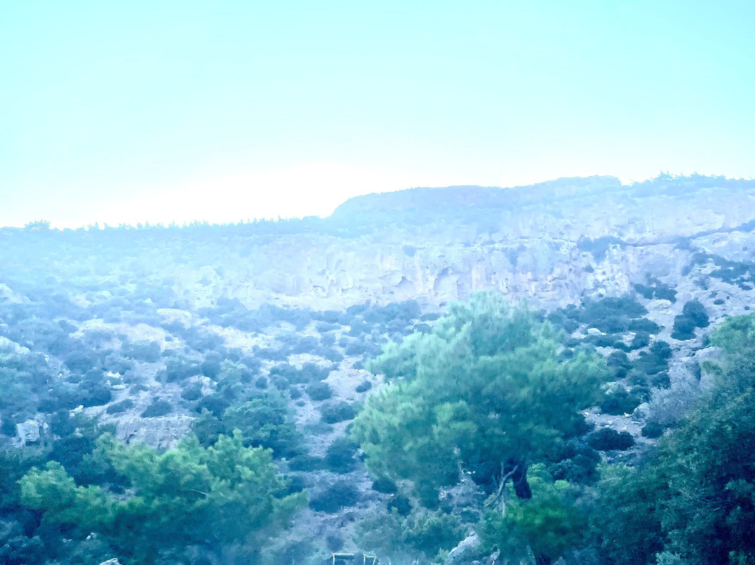 Buggy safari in Koutsouras by Rocket Adventures-Koutsouras必去景点