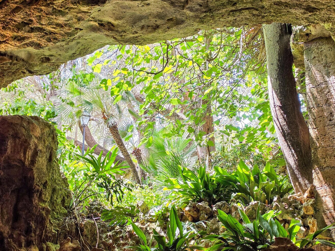 Cuevas del Drach-克里斯托港必去景点