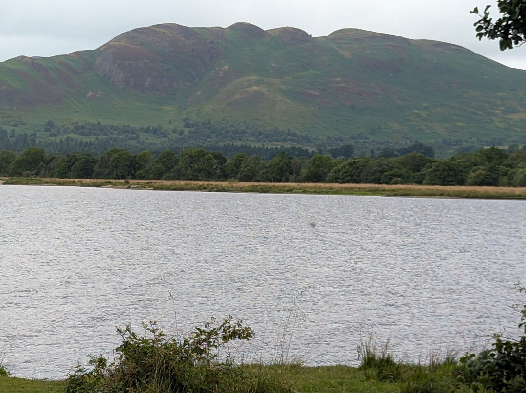 RSPB Scotland Loch Lomond-Gartocharn必去景点