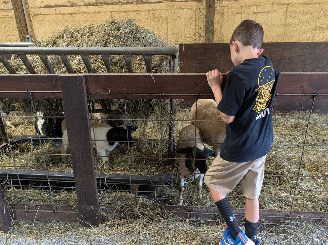 Cress Creeks Farm And Corn Maze-Ellijay必去景点