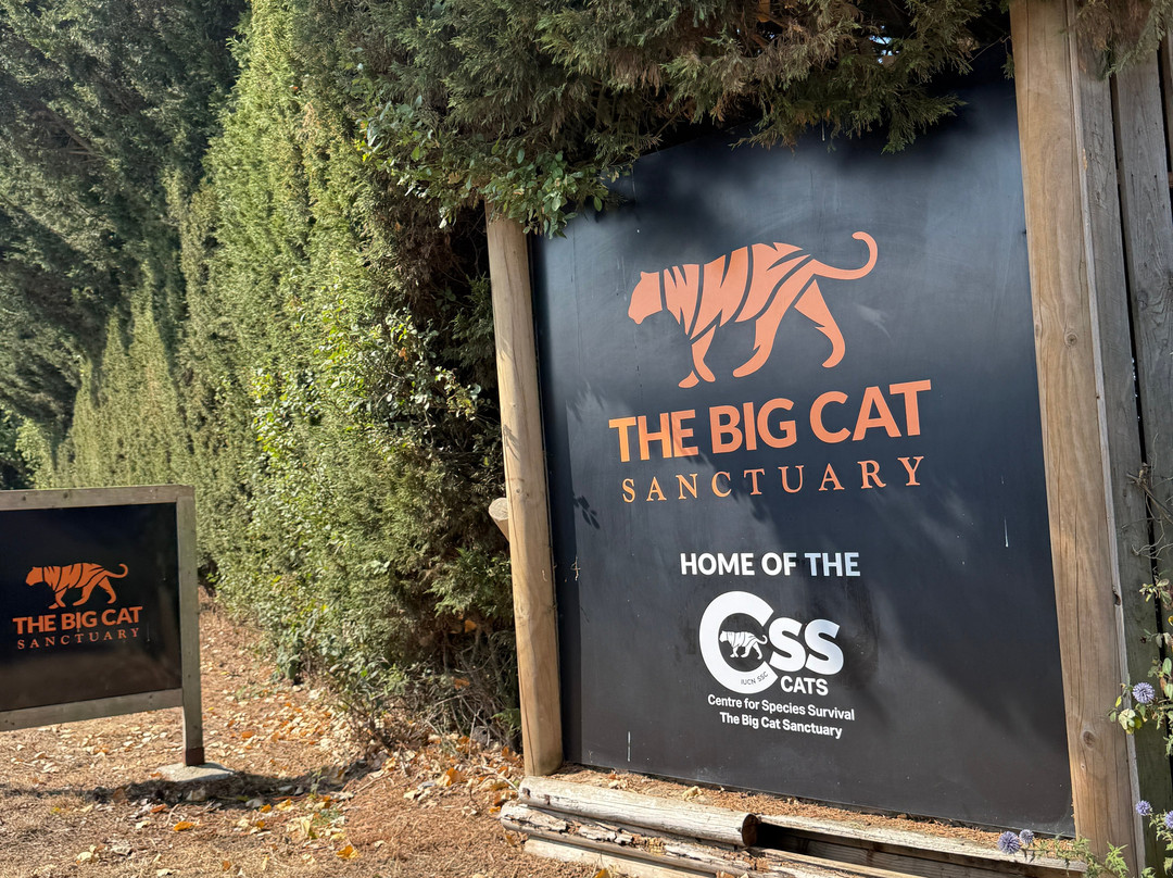 The Big Cat Sanctuary-Smarden必去景点