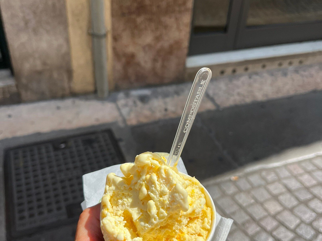 Gelateria Pellicciai