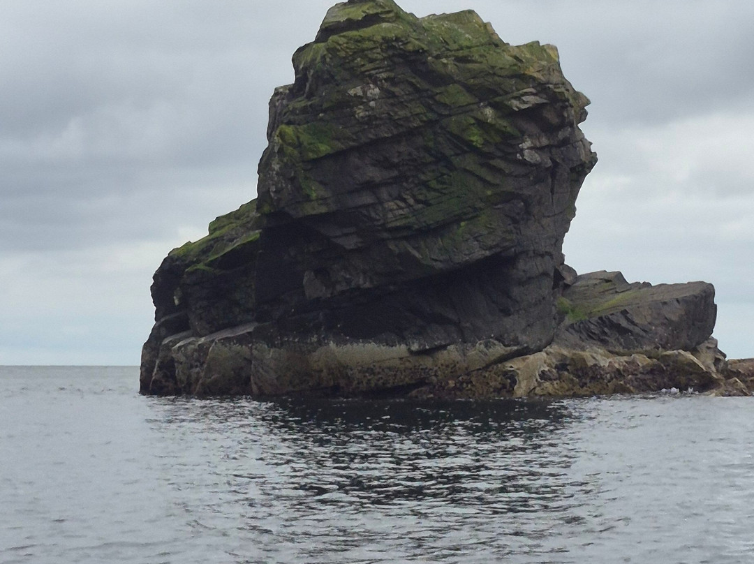 Sea Kayak Shetland-Lerwick必去景点