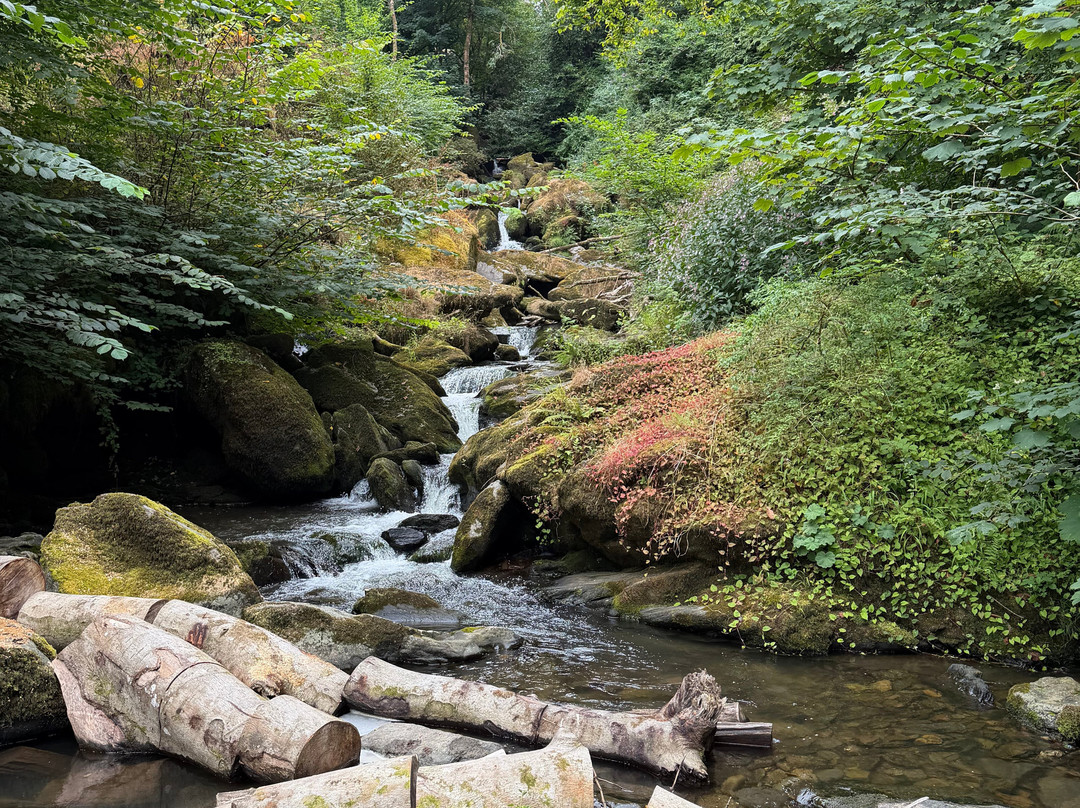 Glen Lyn Gorge-林茅斯必去景点