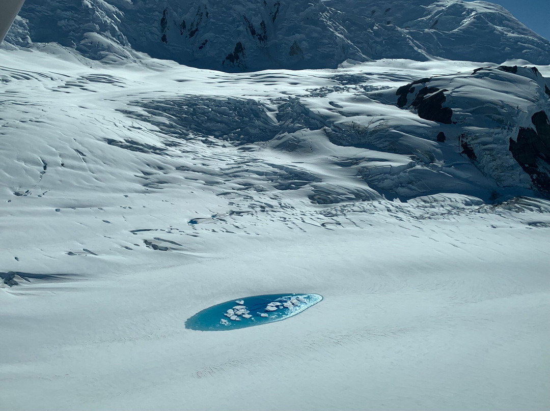 Icefield Discovery-海恩斯章克申必去景点