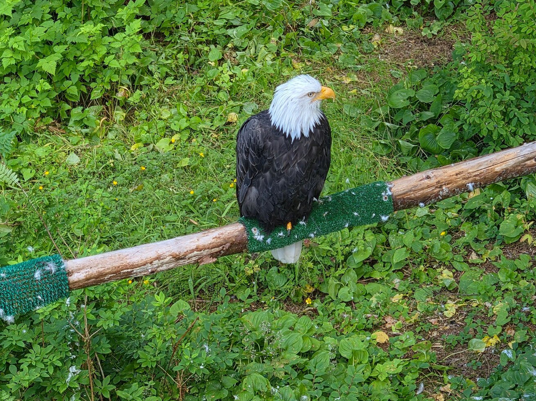 Specialized Tours of Sitka-锡特卡必去景点