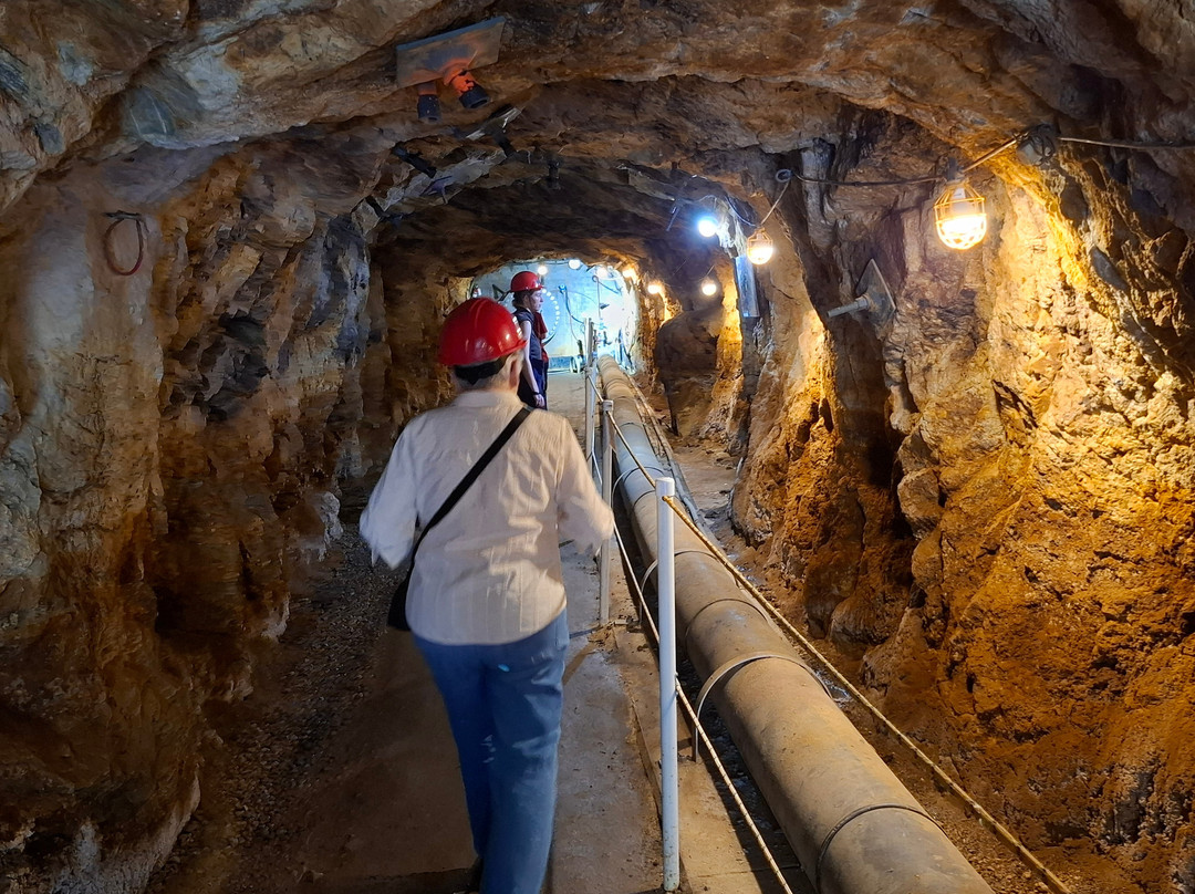 Argo Mill and Tunnel-Idaho Springs必去景点