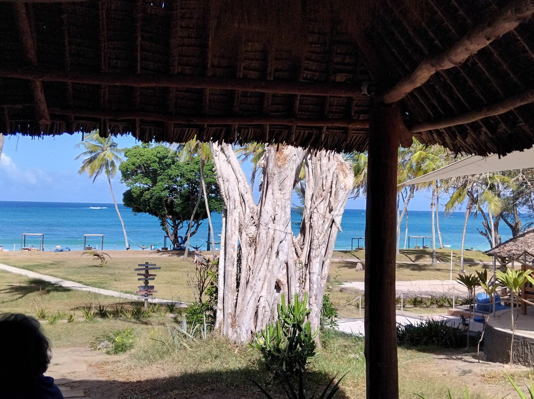 The 41 Beach Club