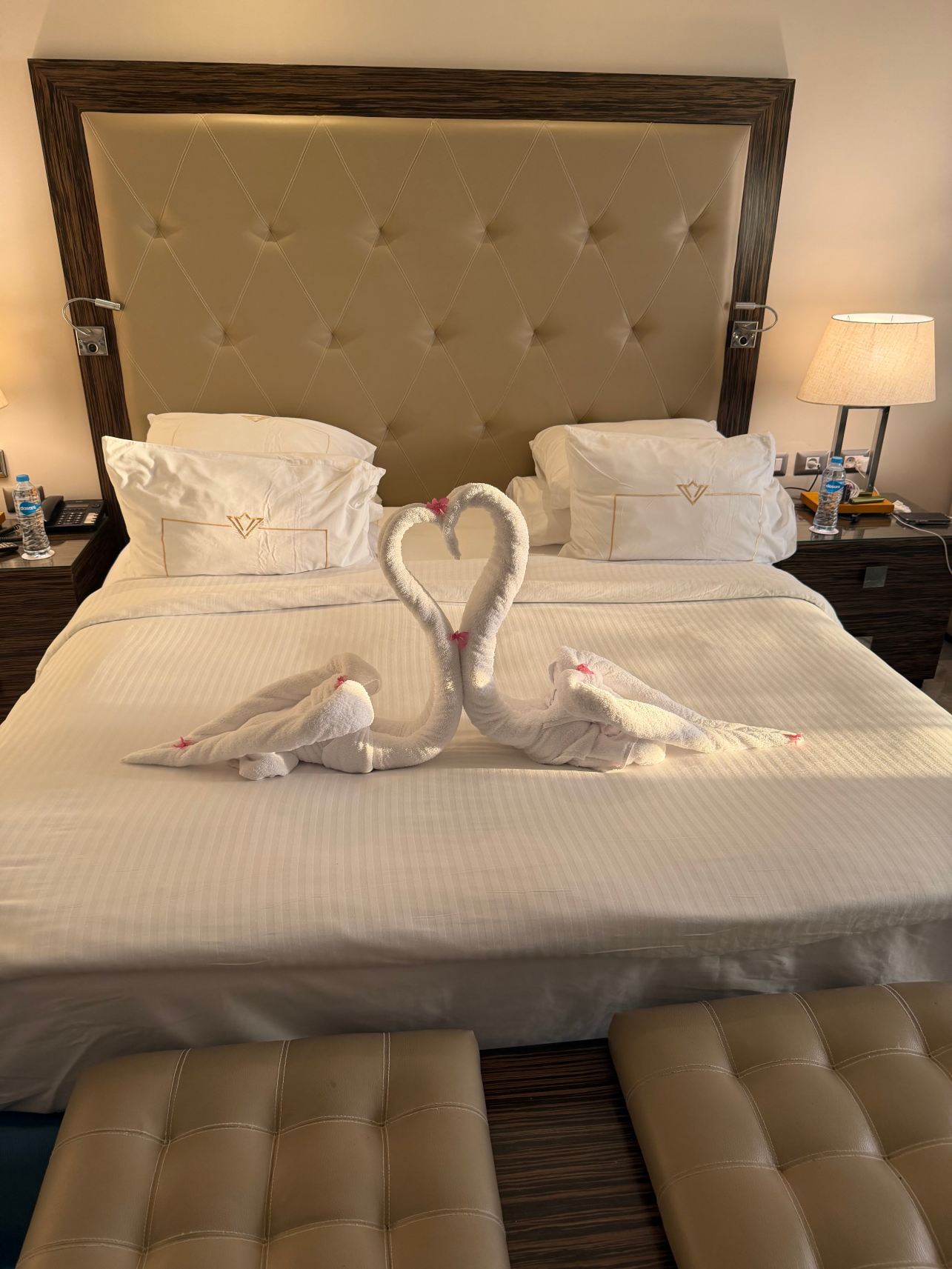 Ghazala Resort & Spa-旅行者