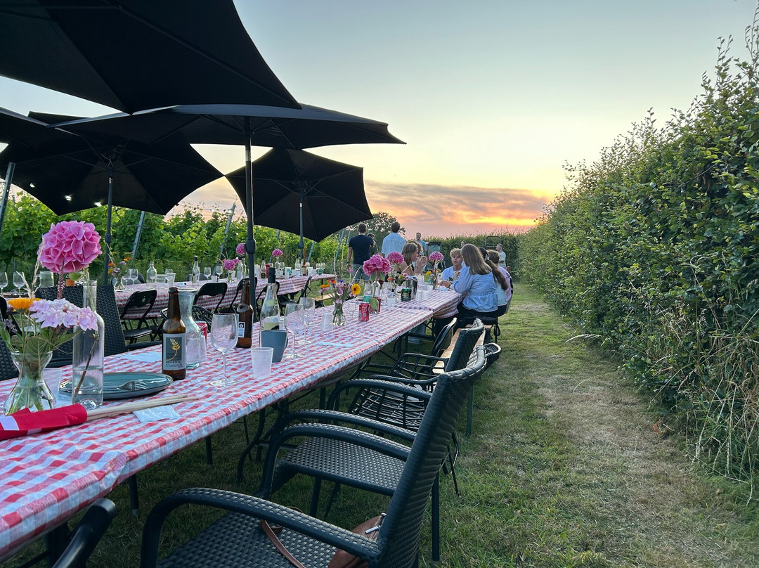 Kongstrup Vin