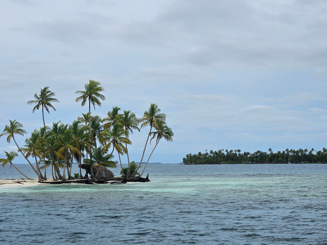 Catamaran Adventures San Blas-埃尔波韦尼尔必去景点
