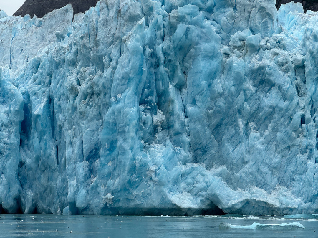 Seek Alaska Tours-Petersburg必去景点