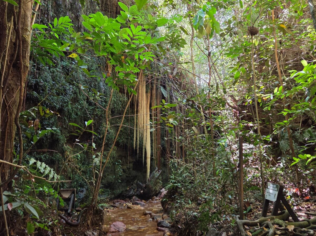 Jalapao Extremo-Palmas必去景点