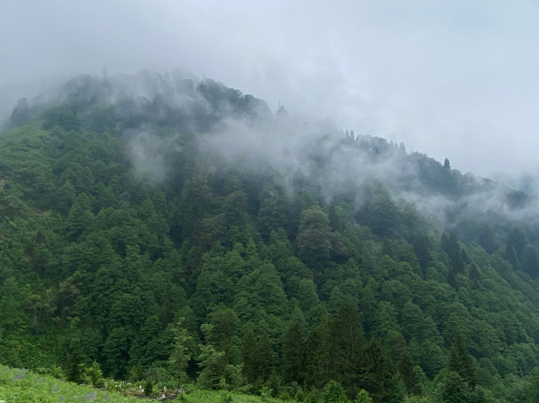Ayder Yaylasi-Camlihemsin必去景点