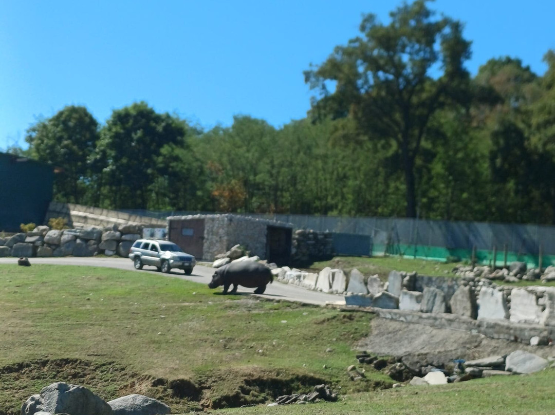 Safari Park-Pombia必去景点